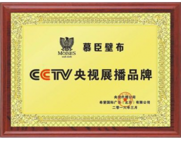 CCTV 央视展播品牌